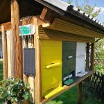 Bilance per api e importanza della pesatura degli alveari